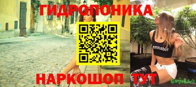 меф Гатчина