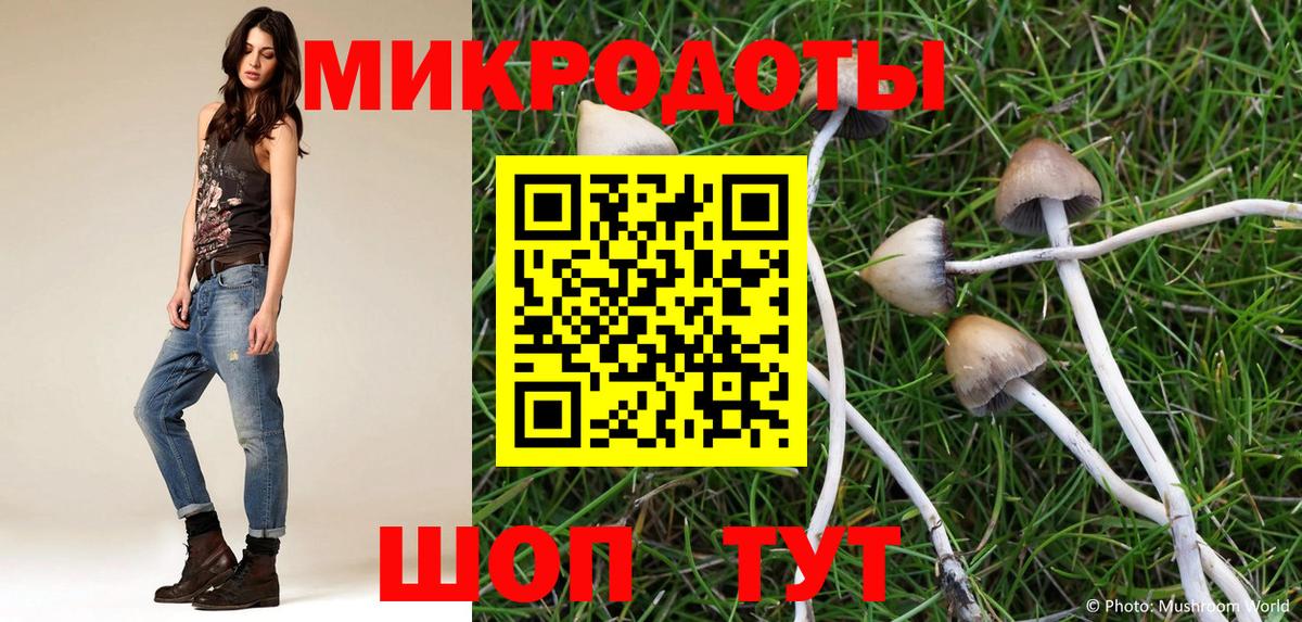 Галлюциногенные грибы Cubensis Моздок