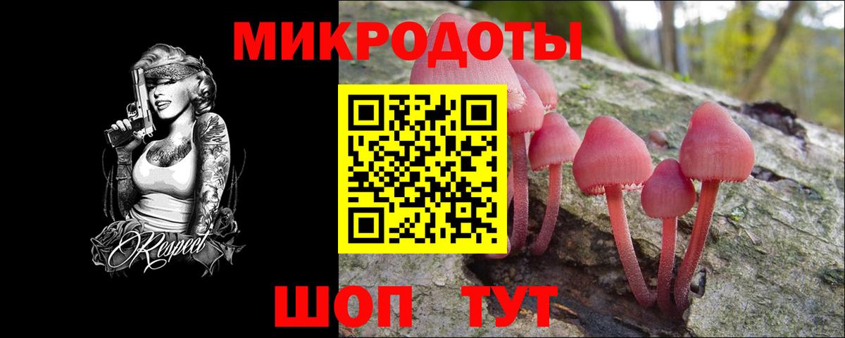 Моздок  Псилоцибиновые грибы мицелий  Вход с VPN 