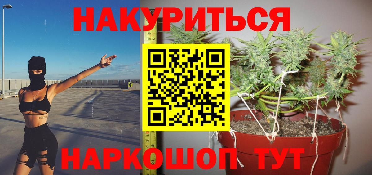 Шишки марихуана тримм Моздок